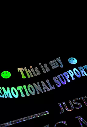 STICKER - This is my EMOTIONAL SUPPORT CAR.